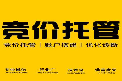 百度推广费用的投入与市场占有率提升的关联案例